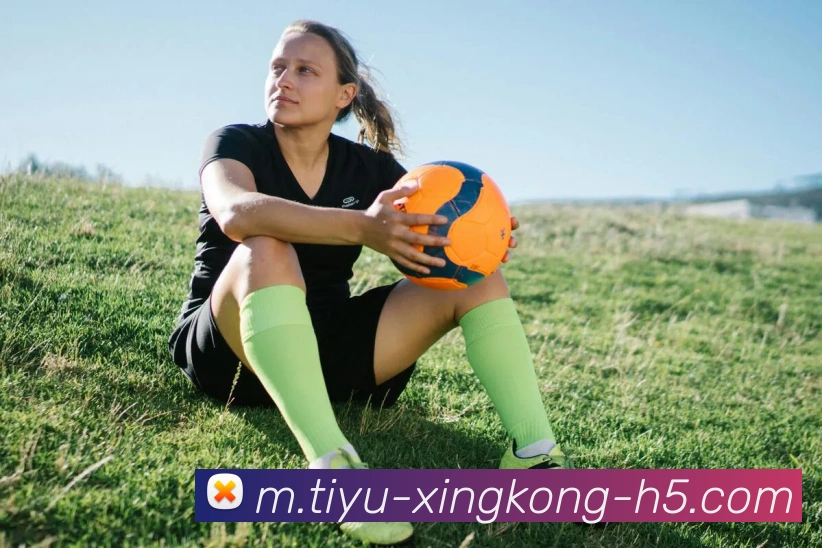 星空体育发展历程